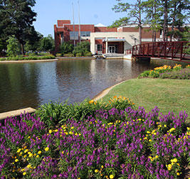 Flowers next to a pond on campus. Links to Gifts That Protect Your Assets